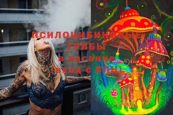 стафф Балабаново