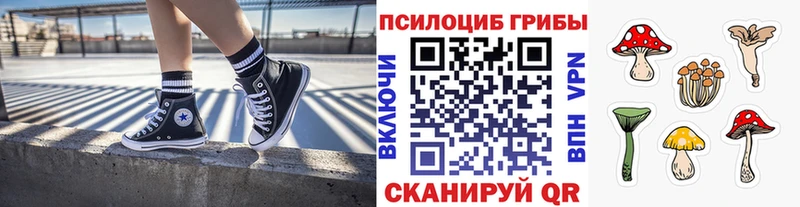Псилоцибиновые грибы Psilocybe  Беслан 